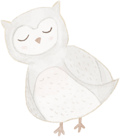 The owl